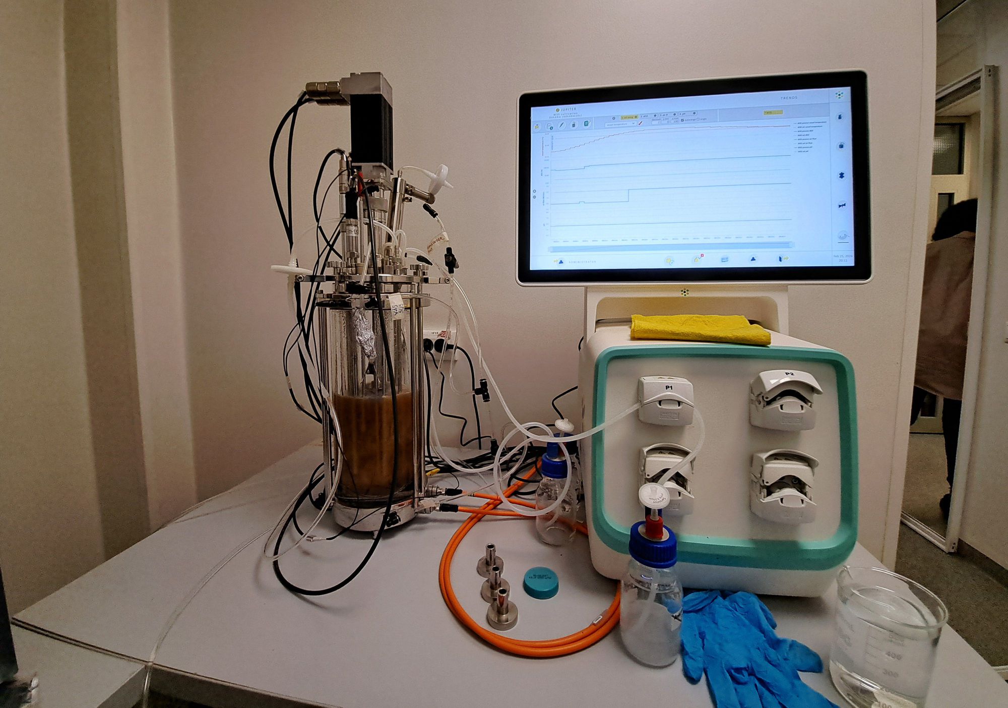 evoluție adaptativă